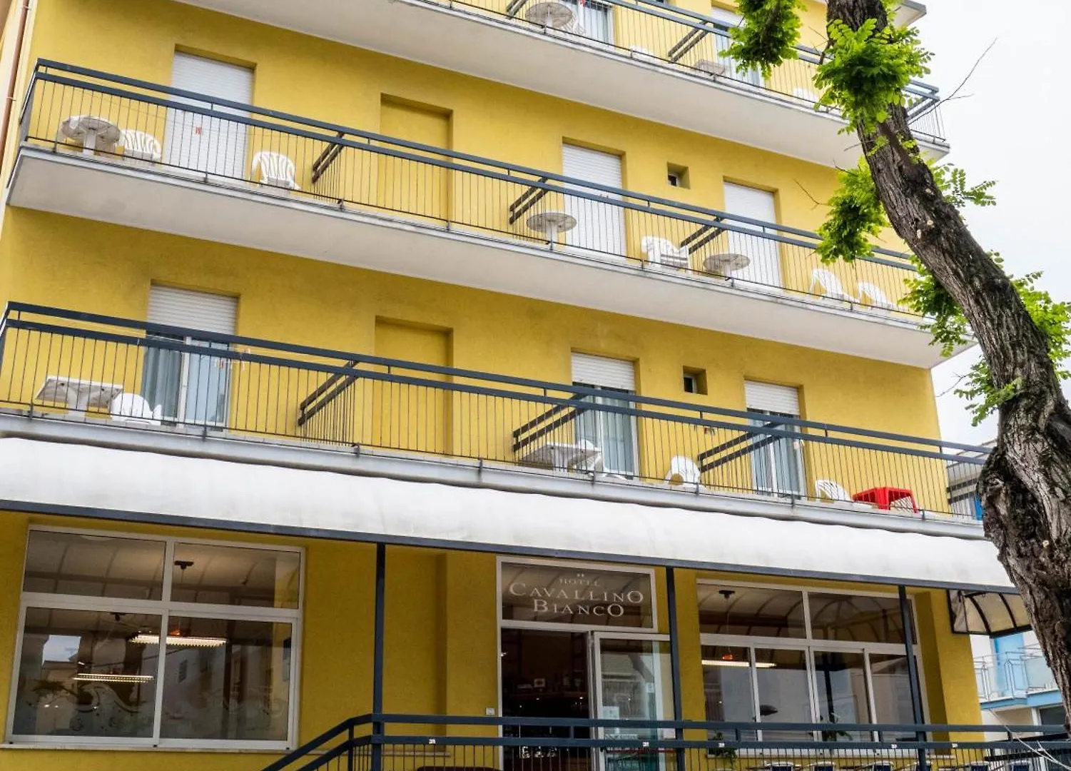 Hotel Cavallino Bianco Rimini
