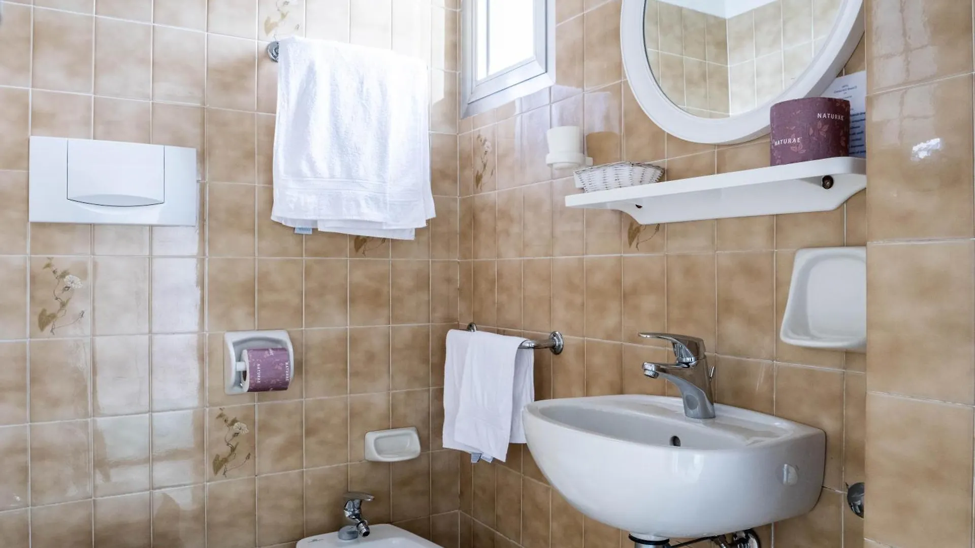 Hotel Cavallino Bianco Rimini Italy